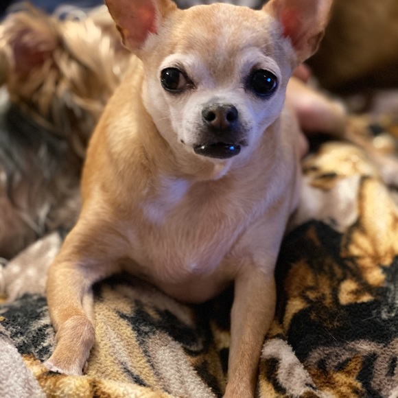 Meet your Posher, Donna - Picture 6 of 8